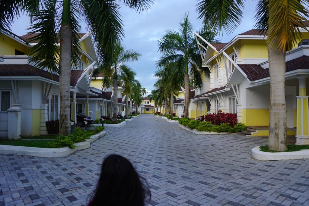 Upcoming Project Image